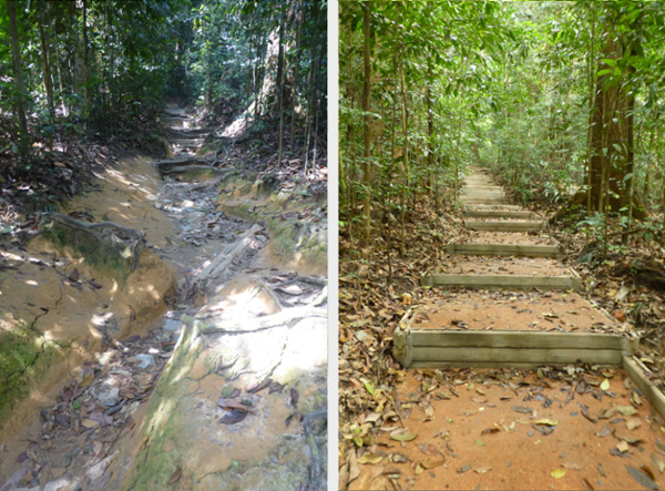 Before and after photos of a restored trail. (Photo credits: NParks)