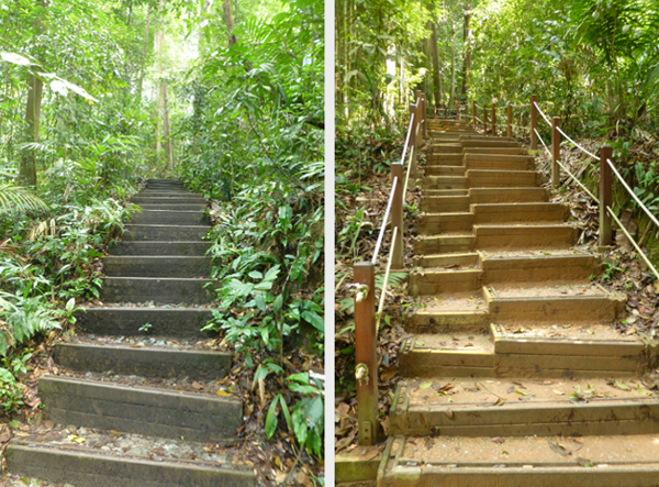 Before and after photos showing repaired steps, with the addition of intermediate steps to cater to hikers of different abilities. (Photo credits: NParks)