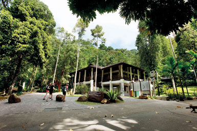 bt-timah-nature-reserve2