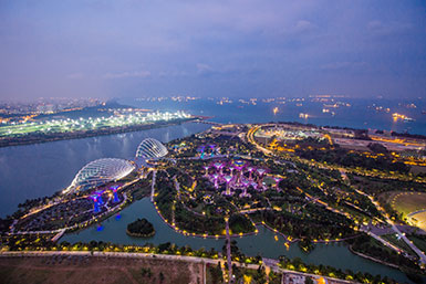 Aerial view of Gardens by the Bay 