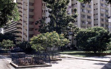 Greening of Toa Payoh 