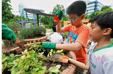 Greening of Housing Estates