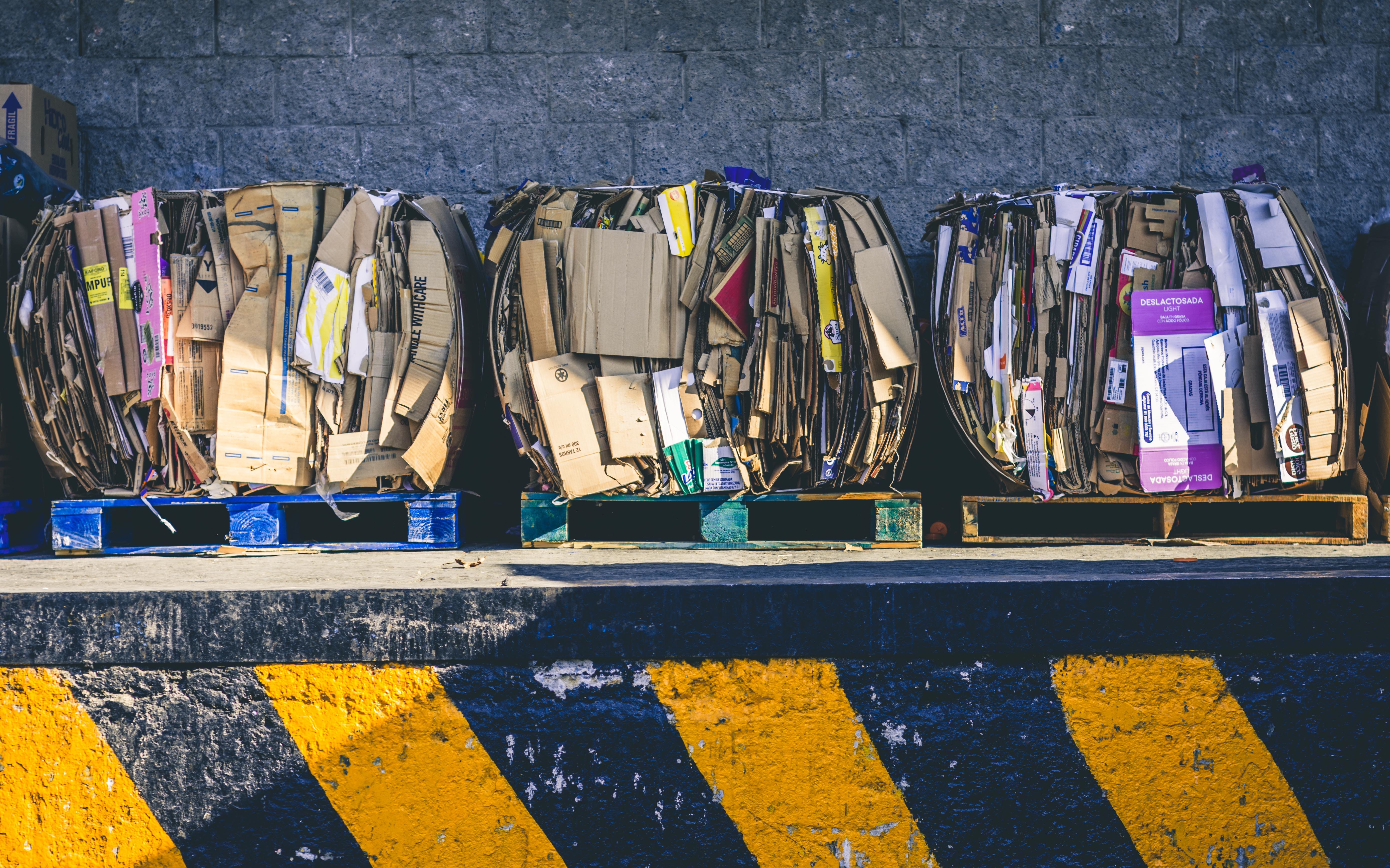 17 - 1 alfonso-navarro-qph7tJfcDys-unsplash 17 - 1 alfonso-navarro-qph7tJfcDys-unsplash