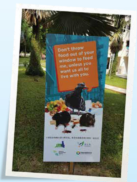2 - 2 Pigeon Feeding Banner