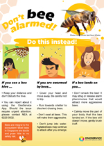 bees-infographic-thumbnail