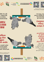 Pigeon Table Sticker (1)