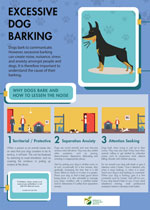 Excessive Dog Barking