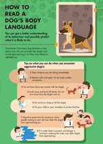 how-to-read-a-dogs-body-language