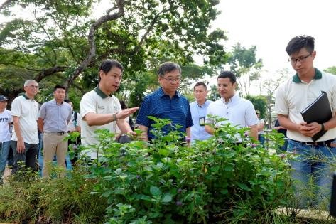 Minister Gan Kim Yong and Minister Desmond Lee touring Therapeutic Garden @ Bishan-Ang Mo Kio Park
