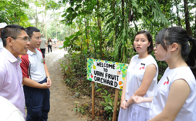 Students from Nanyang Girls’ High School sharing more information on trees in the Ubin Fruit Orchard with SMS Lee and SMS Dr Maliki.