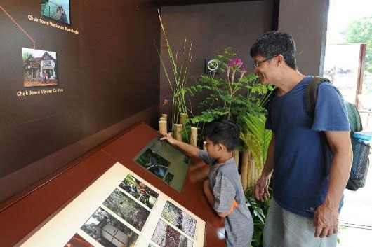 Visitors learn about birds found on Pulau Ubin through the interactive touchscreen.